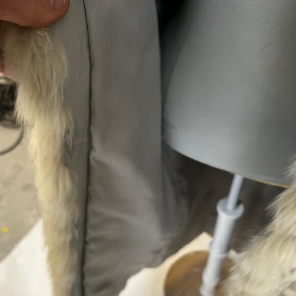 Norwegian Fox was 4995 now only 1295$CDN - Picture 4 of 4